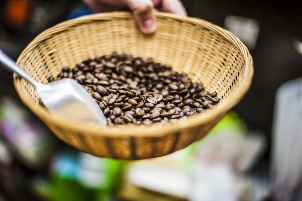 Manos sosteniendo un canasto con granos de café